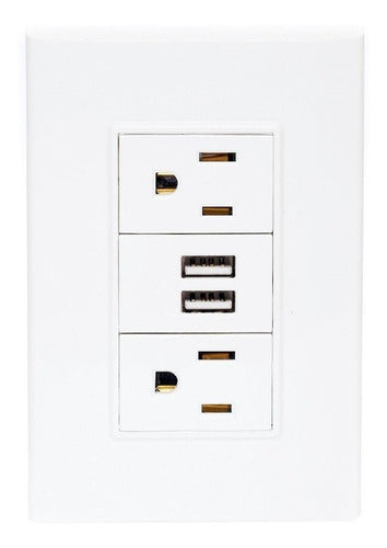Placa Con 2 Usb Y 2 Contactos De Un Módulos Lugano Plus Color Blanco