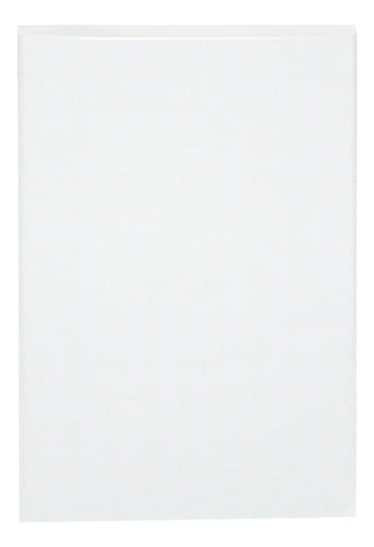 Placa Ciega De Polipropileno Style Plus Igoto Color Blanco