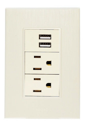 Placa Con 2 Puertos Usb Y 2 Contactos De Un Modulo Igoto