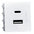 Toma Usb + Usbc 1 Modulo